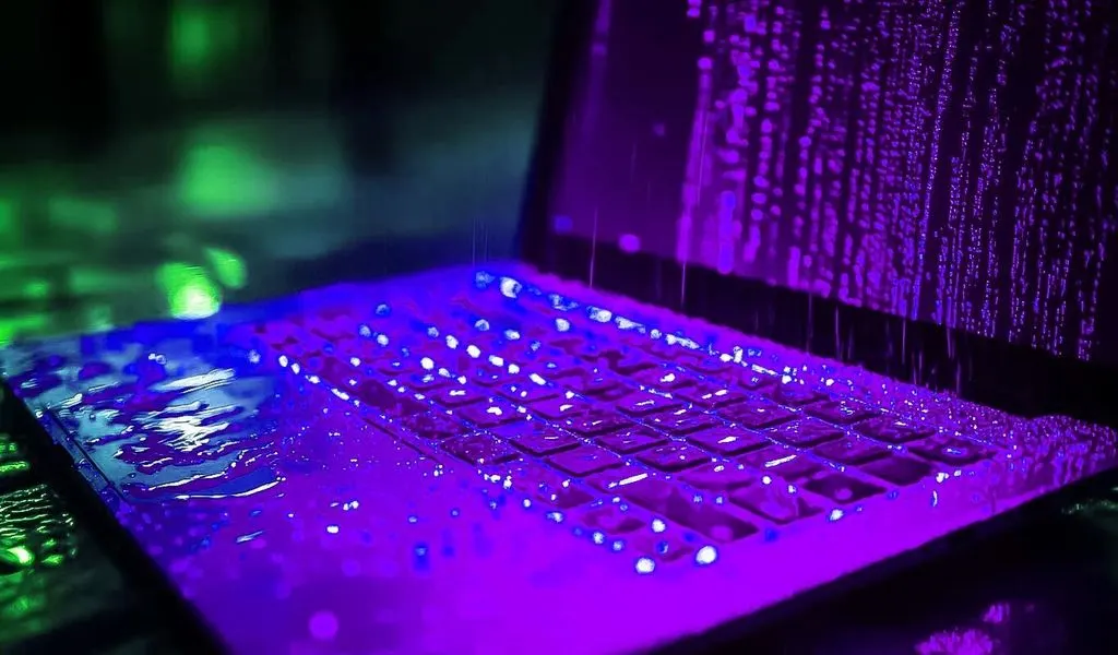 Ghana Twins and Hawaii Woman Drains More Than $9,000,000 in Romance Scam That Targeted Mostly Elderly Victims