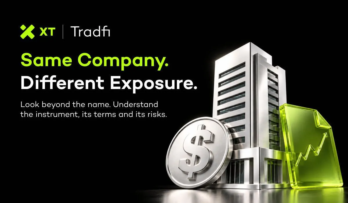 XT Exchange: The Investment Question Comes Before the Trading Instrument